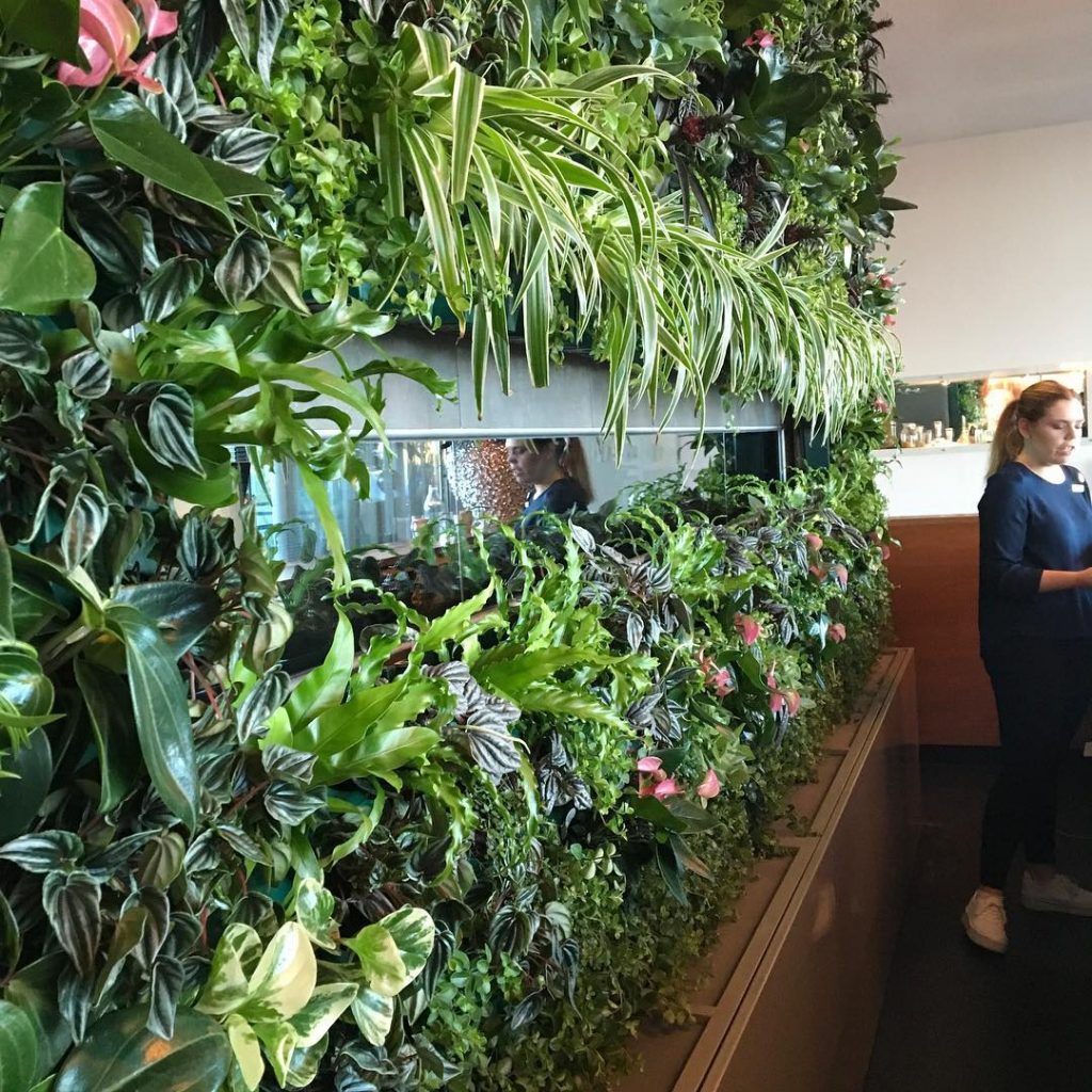 Växtinredning av växtinredarna lyfter både upplevelsen och välbefinnandet