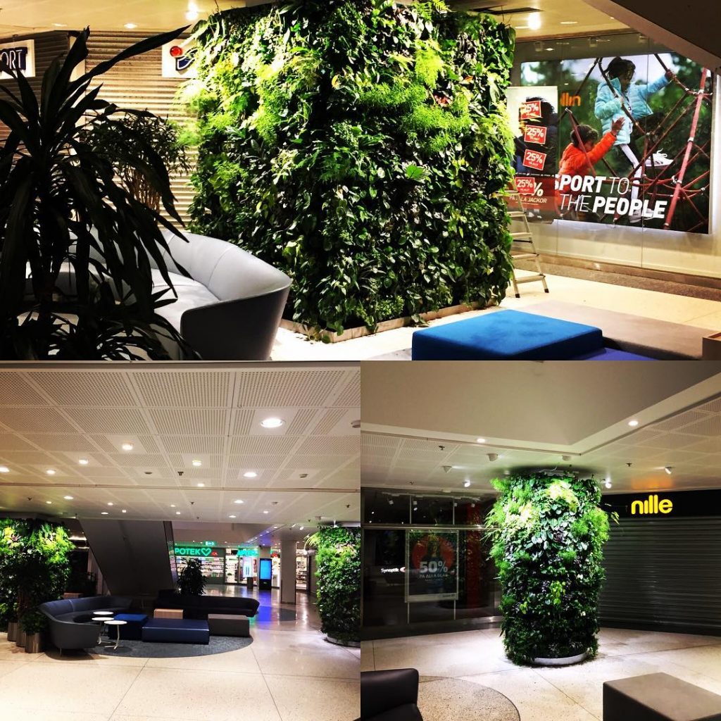 levande växt vägg unik bärande konstruktion