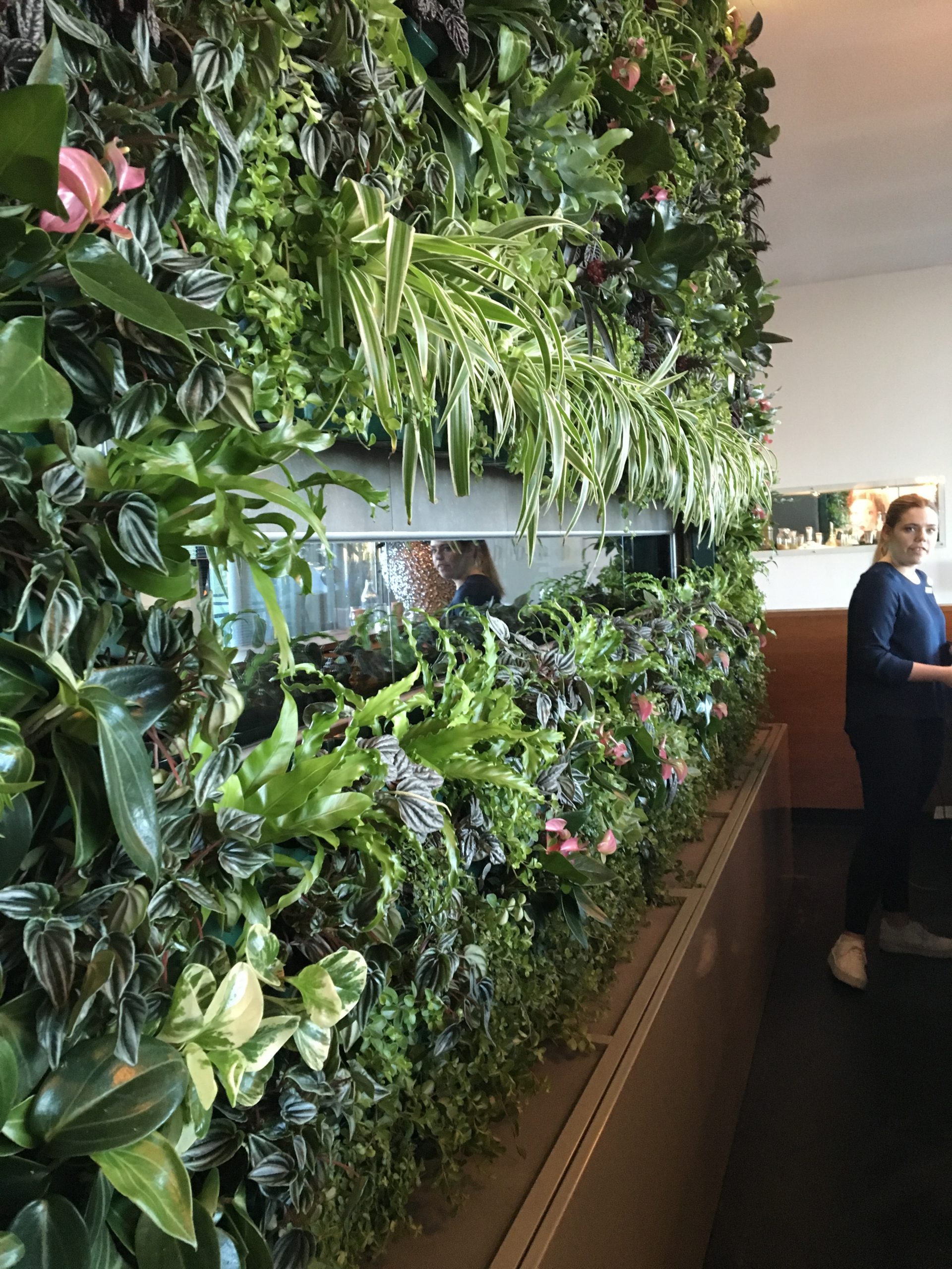 Växtinredning erbjuds av Växtinredarna, som har ett brett sortiment av krukor och växter för företag.