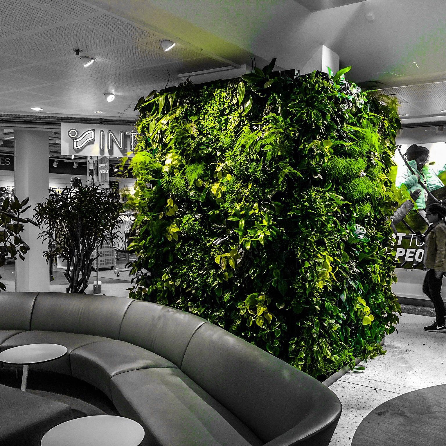 greenstyling av växt inredare från växtinredarna