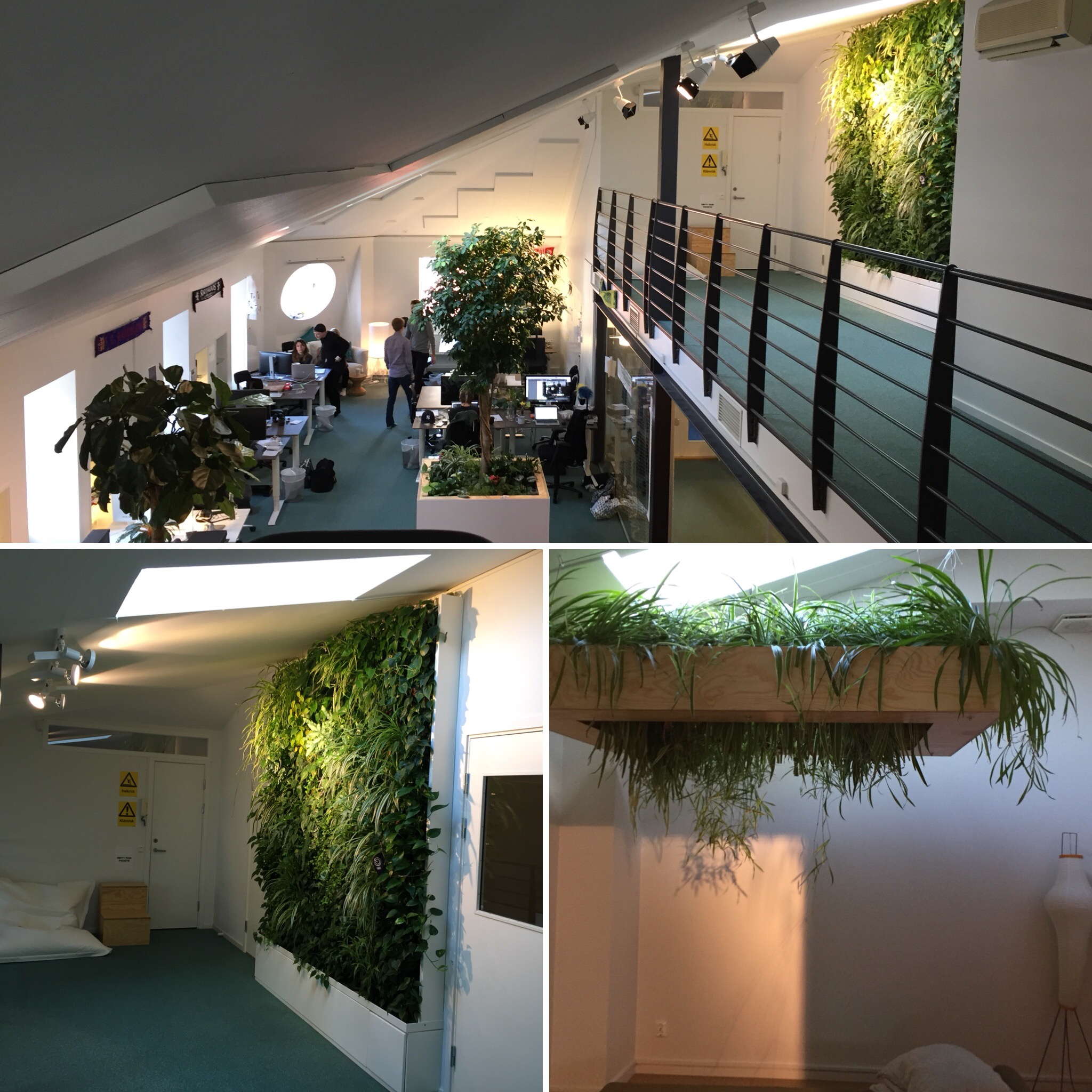 växtinredarna tipsar växtinredning