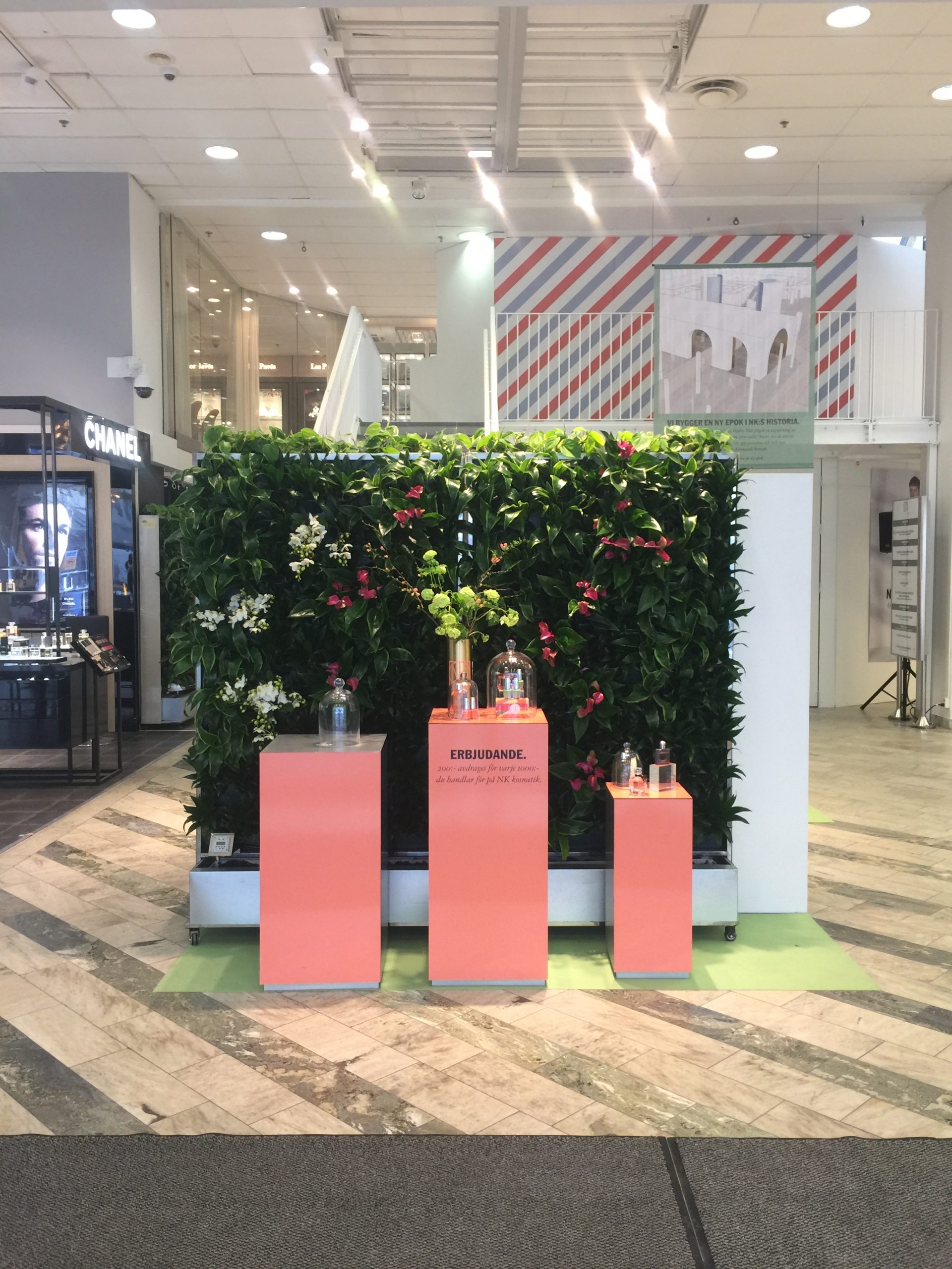 växtinredare från växtinredarna greenstyling tips på webshop