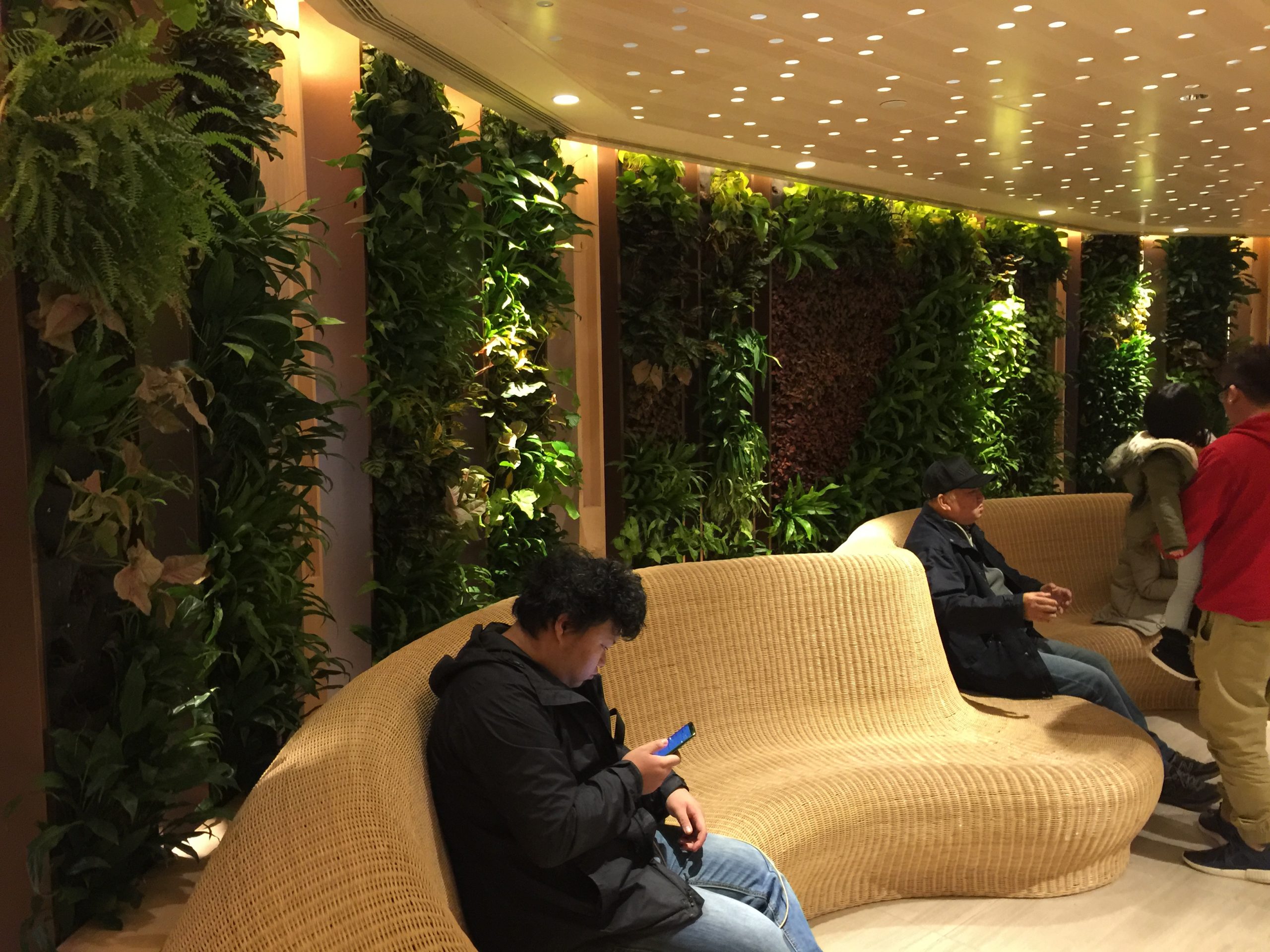 växtinredarna greenstyling webshop