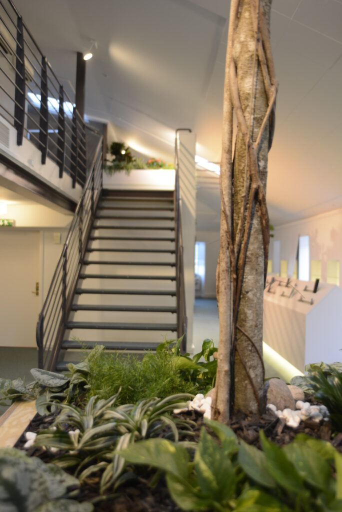 Växtvägg och företagsväxter från Växtinredarna. Upptäck vårt omfattande sortiment med över 10 000 produkter och tjänster.